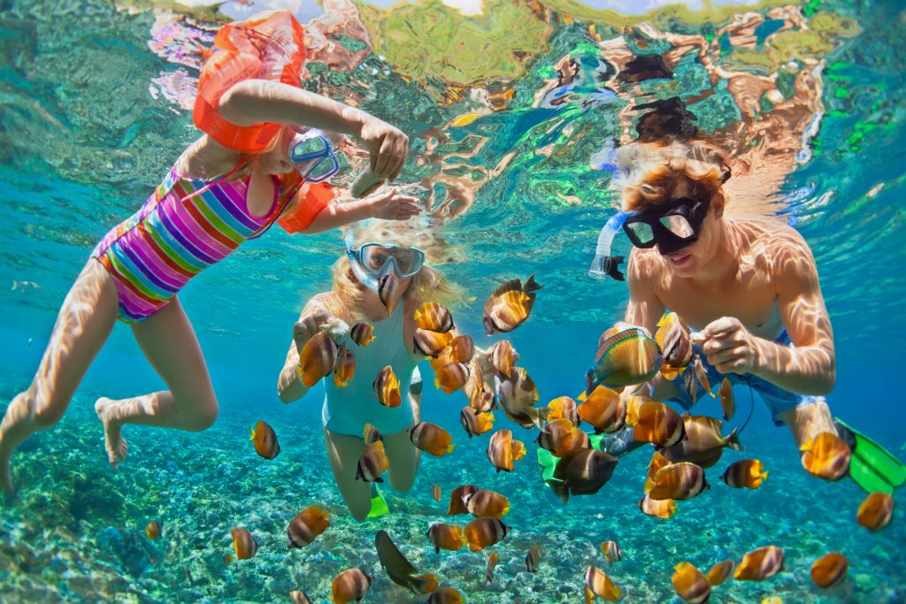 Snorkeling in coral reefs on a Caribbean excursion
